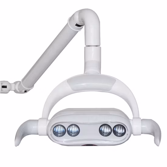 Lampe à LED dentaire de chirurgie orale dentaire de support portatif économique de lampe à LED avec 4 ampoules